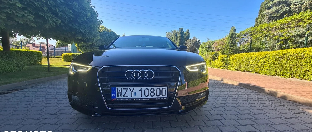 Audi A5 cena 75000 przebieg: 230000, rok produkcji 2014 z Żyrardów małe 56